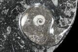 Round Fossil Goniatite Dish #73707-2